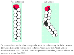 Resultado de imagen para triacilgliceroles o grasas