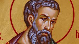 MATTHEW NEWTON SIGNED 8X10 PHOTO 2