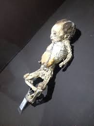 The mummies of guanajuato are a number of naturally mummified bodies interred during a cholera outbreak around guanajuato, mexico in 1833. Las Momias De Guanajuato Mexico