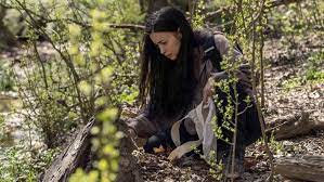 Ver The Walking Dead Temporada 11 X3 Online Cuevana