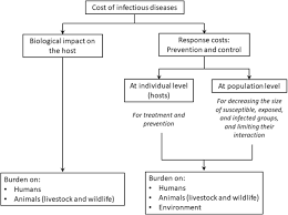 Infectious Diseases And Meat Production Springerlink