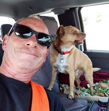 Dealing with Overwhelming Yellow Jackets