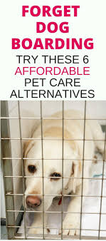 We did not find results for: Forget Dog Boarding When It Comes To Affordable Pet Care Learn How To Find Affordable In Home Pet Care Services Or A Dog Walker Tha Pet Care Dog Boarding Pets