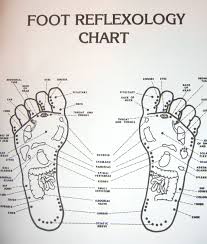 Free Printable Reflexology Charts Introduction To