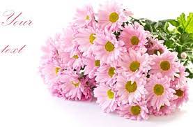 Check spelling or type a new query. Hd Flower Bouquet Free Stock Photos Download 13 031 Free Stock Photos For Commercial Use Format Hd High Resolution Jpg Images