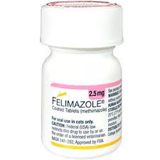 Methimazole (brand name tapazole™) has long been the mainstay of drug therapy for feline surgical removal of the thyroid gland. Felimazole Thyroid Medication For Cats 1800petmeds Category Uuid 3d5b8fe3b88e3f9783e5c4f3d4