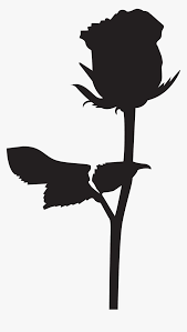 Please to search on seekpng.com. Silhouette Black Rose Drawing Clip Art Rose Silhouette Png Transparent Png Kindpng