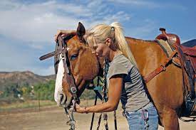 Step two • take your horse and put their halter on and tie them up either in a stall or aisle with both cross ties. How To Put On A Saddle And Bridle Properly Dummies