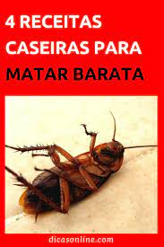 Pin Em Limpeza