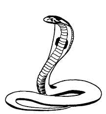 Click the realistic king cobra coloring pages to view printable version or color it online (compatible with ipad and android tablets). The Gallery For U0026gt King Cobra Drawings Coloring Pages