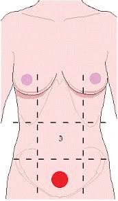 You are presented with so many insurance options that you are unsure which is best. Chapter 2 Learning Exercises The Human Body In Health And Disease Flashcards Quizlet