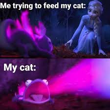 The Best Family Friendly Memes To Share With Your Kids Mabel Moxie Memes that are literally family friendly… #dankmemes.