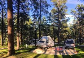 We did not find results for: Camping In Custer State Park Blue Bell Campground