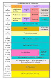 Esquema De Vacunacion Secretaria De Salud Gobierno Gob Mx