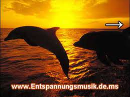 The word is associated with meditative practices in both buddhism and hinduism. Yoga Musik Entspannungsmusik Yoga Ruhige Musik Yoga Meditationsmusik Yoga Youtube