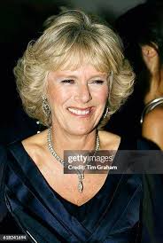 5,456 Royal Jewelry Collection Stock Photos, High-Res Pictures, and Images 