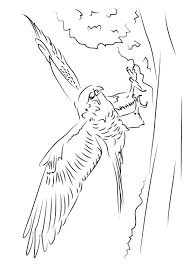 I'm going to wet sand those areas with 1500 grit and then use rubbing compound on a dual action sander. Falcon Coloring Pages Books 100 Free And Printable