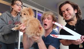 Logan Paul Evan Eckenrode Ayala Woodruff Kong Da Savage Logan Paul Kong Logan Jake Paul Logan Paul