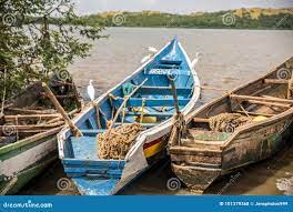 African Dugout Canoes Tied Together on the Shores of Lake Victoria, Kenya.  Stock Photo - Image of little, fish: 101379368