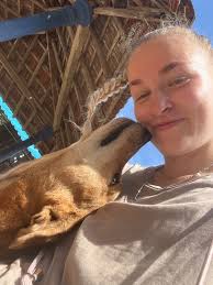 Fundraiser by Elisa Heller : Hilfe für Straßenhunde in Sri Lanka!