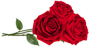 Tres De Las Rosas Rojas Png Imagen Predisenada Red Roses Beautiful Red Roses Beautiful Rose Flowers