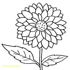 All of it in this site is free, so you can print them as many as you like. 25 Creative Photo Of Spring Flowers Coloring Pages Albanysinsanity Com Sunflower Coloring Pages Printable Flower Coloring Pages Flower Coloring Pages