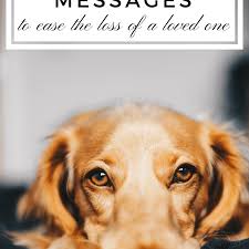 Check spelling or type a new query. Sympathy Messages For The Loss Of A Pet Pethelpful