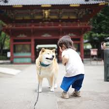 good morning 根津神社お参りしてたら遅くなっちまった 今日は涼しかったよ 子供ちゃんもお参り来てたの なでなでして良いよ おでこあたりがパワースポットだから 根津のパワースポット 神社 お参り お参り 神社