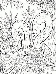 Check spelling or type a new query. Detailed And Realistic Snake Free Printable Coloring Page Letscolorit Com Snake Coloring Pages Animal Coloring Pages Zoo Coloring Pages