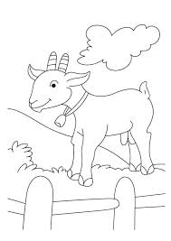 764 x 1024 file type: Coloring Pages Goat Coloring Page