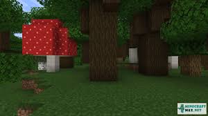 How To Grow Dark Oak Trees In Minecraft?