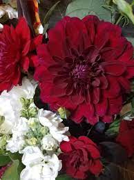 We did not find results for: Serendipity Floral And Garden Home Facebook