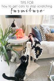 Pin On Favorite Diy Bloggers
