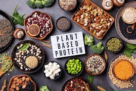 Image result for Protein