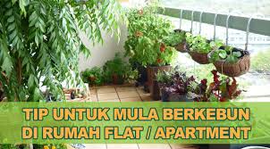 Membuat halaman rumah menjadi kebun sayur. 16 Tip Berkesan Untuk Mula Tanam Sayur Di Rumah Flat Kebun Bandar