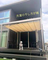 マルさんはinstagramを利用しています 犬落ちてます ゆっくり洋画を楽しむ金庫の夜 長閑なひと時 金曜日の夜 落ち犬 リビングインテリア エコカラット ビンテージオーク 快適エアリー マイホーム マイホーム記録 バ outdoor
