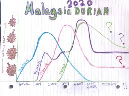 Kah sheng agro sdn bhd. 2020 Malaysia Durian Season Guide Year Of The Durian