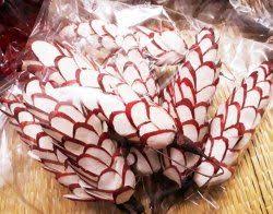 Sei la sola che amo. Sola Flowers Sola Flower Suppliers Sola Flowers Selling Companies