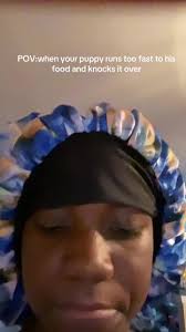 Dog Runs inside and Knocks Food over