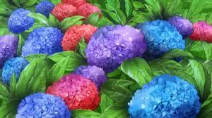 Maybe you would like to learn more about one of these? Blue Variance On Twitter Flower Hydrangea Meaning Changing Mind Indifference Perseverance Cruel Heartless Ruthless Arrogance Pride 3 Gatsu No Lion Season 2 Episode 10 Https T Co Skbu3bctc5