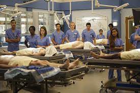 Steals things from the hospital to furnish home. Anatomy Classes Grey S Anatomy Universe Wiki Fandom