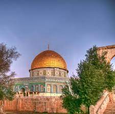 شبكة فلسطين للحوار@paldf 3h فيديو نشره الاعلام العبري خلال عملية اقتحام منزل شبكة فلسطين للحوار@paldf 3h بأرض القدس نادانا نداء الله والتحرير ألا هبُّوا فإنَّ النصرَ. ÙÙ„Ø³Ø·ÙŠÙ† Ø§Ù„Ø§Ù† Home Facebook