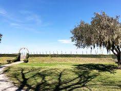 78 Hiking In Jacksonville Ideas In 2021 Jacksonville Beach Mom Jacksonville Beach