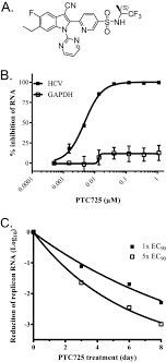 Shame that studdio66 hid her on the web for most of the night rather than have her star on tv where she belongs. Identification Of Ptc725 An Orally Bioavailable Small Molecule That Selectively Targets The Hepatitis C Virus Ns4b Protein Abstract Europe Pmc
