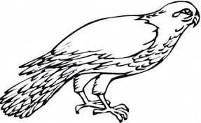 Color in this picture of dodo bird and share it with others today! 20 Free Printable Bird Coloring Pages Everfreecoloring Com