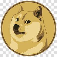doge