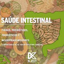 Saude Intestinal A Importancia De Ter Um Intestino Saudavel