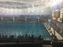 Image result for when do swim events do long course