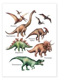 Los nombres de los dinosaurios Póster 100 x 130 cm Cuadros Decoración para  la pared : Amazon.es: Hogar y cocina