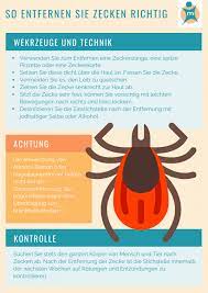 Was Tun Wenn Die Zecke Sticht Ihre Apotheke Gibt Rat